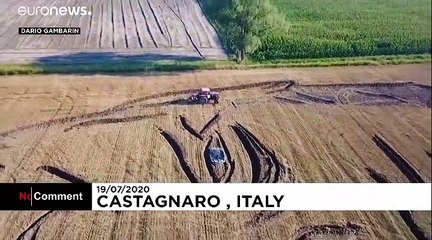 Le portrait de Joe Biden... dans un champ de blé en Italie