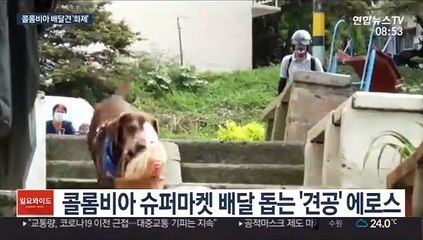 "물건받고 간식주개!" 콜롬비아 슈퍼마켓 배달견
