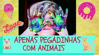 PEGADINHAS COM ANIMAIS