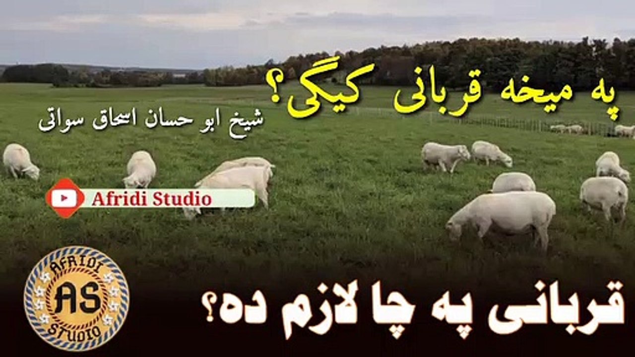 پہ میخہ قربانی کیگی؟ شیخ ابو حسان | قربانی پہ چا لازم دہ | Qurbani pa cha lazim da | Mekha o Qurbani
