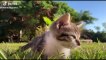 Cute Animals - Cute animals  baby  Compilation  Videos - very Awesome  moment of the animals.18
