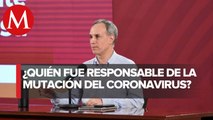 Perturbación de ecosistemas, responsable de coronavirus en humanos: López-Gatell