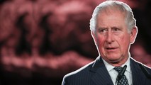 உலக நாடுகள் இந்தியாவை பார்த்து கற்றுக்கொள்ள வேண்டும் - Prince Charles