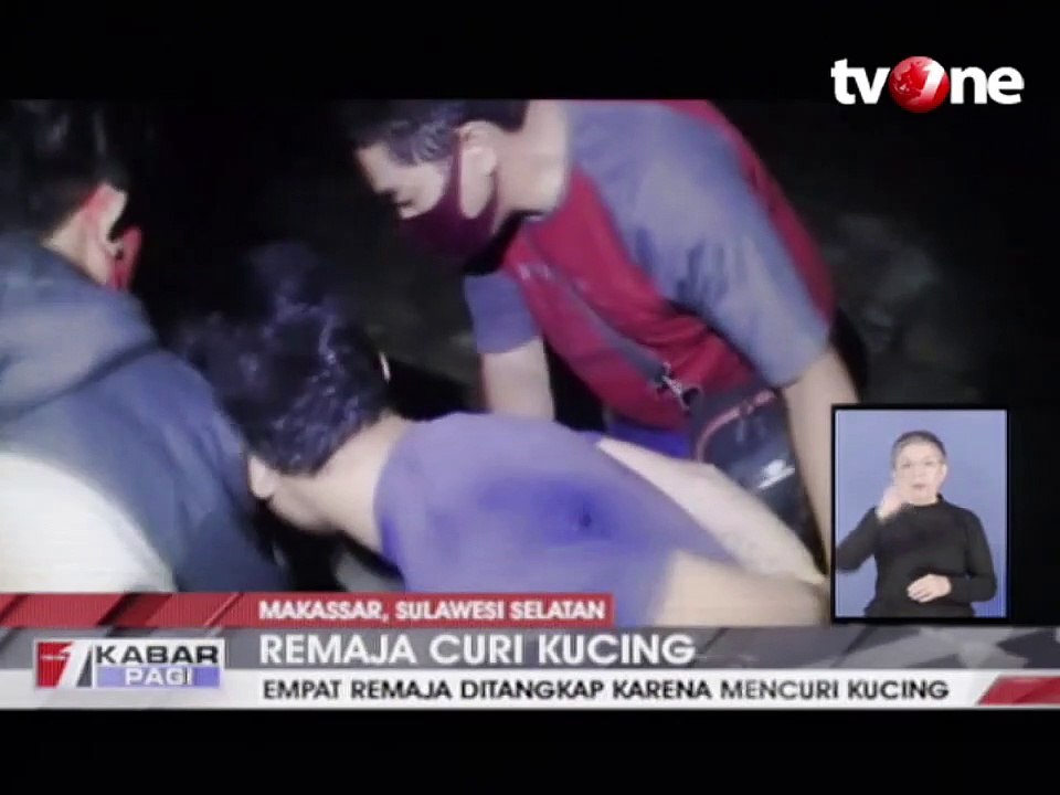 Curi Kucing dan Lukai Pemiliknya, 4 Remaja Dita...