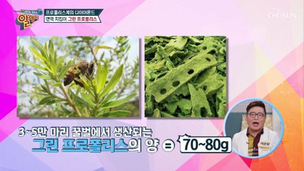 항암·항염증에 효과 있는 ◉그린 프로폴리스◉