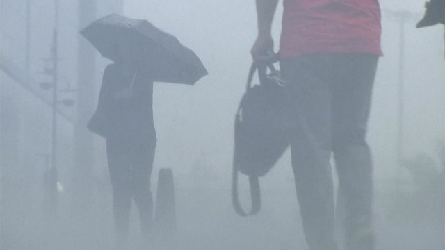 [날씨] 전국 장맛비 확대...밤부터 충청·남부 집중 호우 / YTN