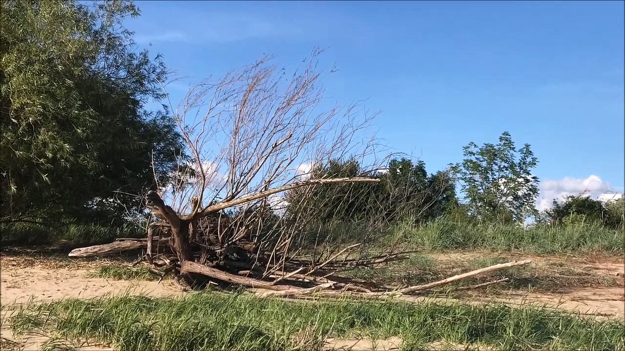 Hetlinger schanze - juli 2020 /full film/complete movie/ganzer film