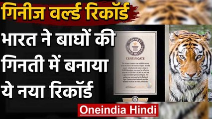 India ने बाघों की गिनती में बनाया गिनीज वर्ल्ड रिकॉर्ड, आबादी भी बढ़ी | वनइंडिया हिंदी