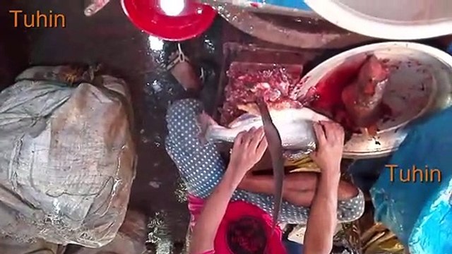 Amazing Big Fish Market in bd - Huge Fresh Fish Available Market in bd