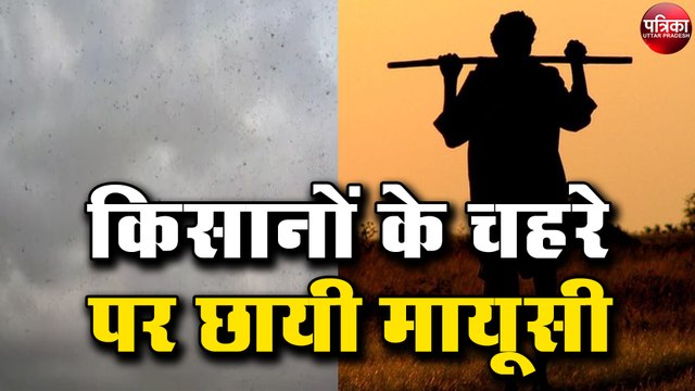 श्रावस्ती जिले में भी पहुंचा टिड्डी दल