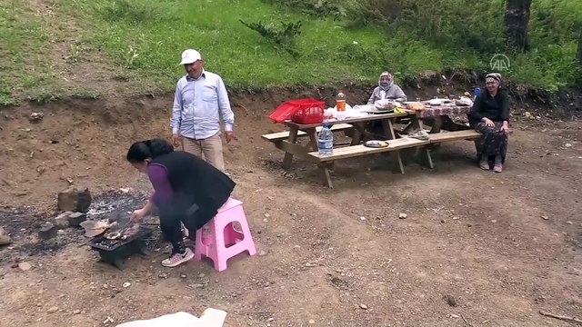 İZOLE TATİLİN ALTERNATİF ADRESLERİ YAYLALAR - Dumanlı Yaylası izole piknik imkanı sunuyor - ERZİNCAN