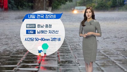 [날씨] 내일 전국 장맛비...해안가 지역 강풍 주의 / YTN