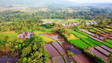 6 Best Benefits Of Drinking Milk Everyday For Weight, Skin & Hair