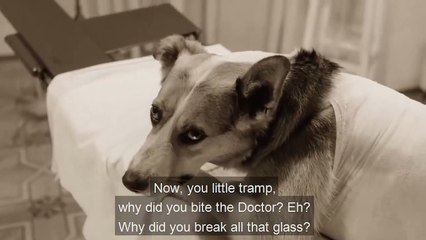 Кучешко сърце-1-3