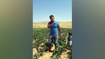 Şanlıurfalı çiftçi: Artık CHP'yi terörist olarak görmüyorum!