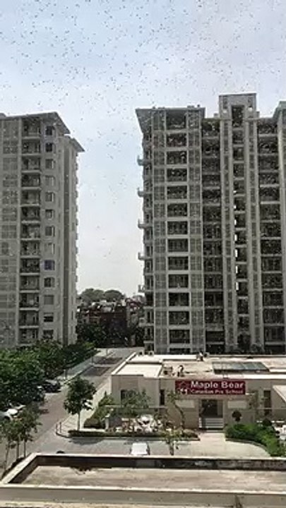 राजधानी लखनऊ के आवासीय क्षेत्र में भी पहुंचा टि...