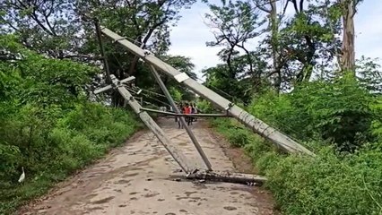बरसात से सड़क पर विद्युत पोल व पेड़ गिरे, राहगीरों को हुई परेशानी