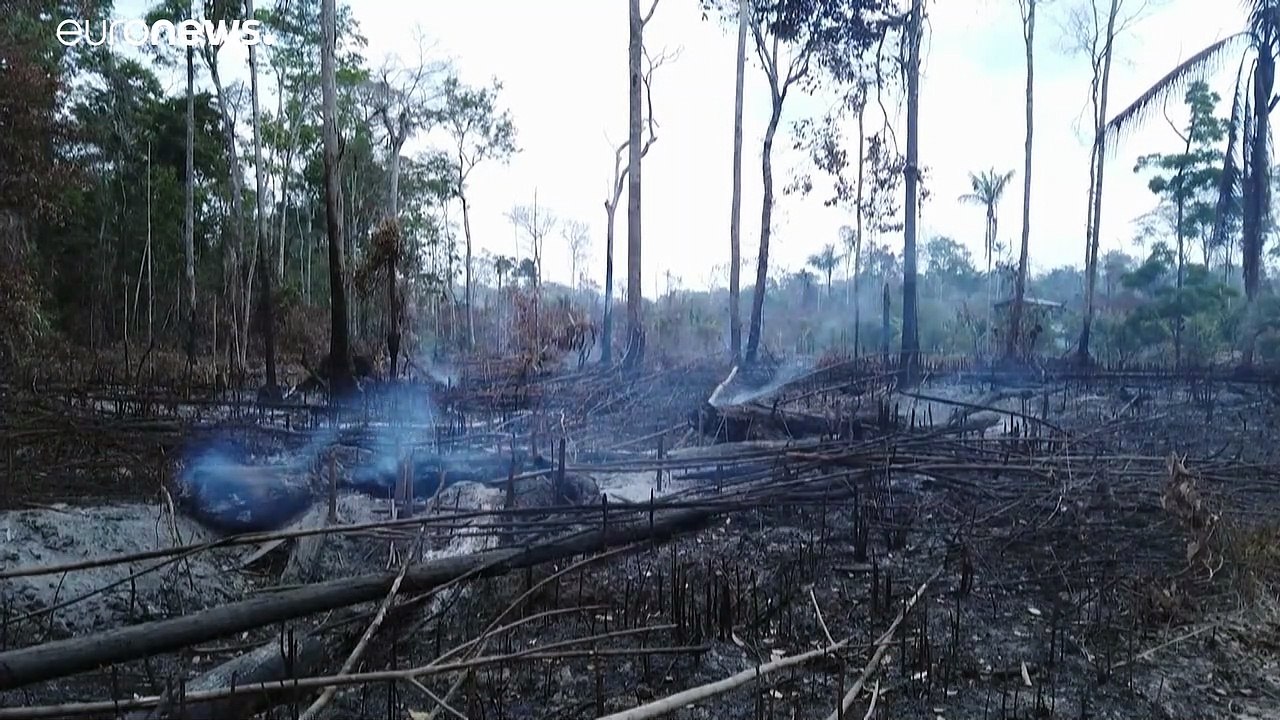 Brésil : déforestation record de l'Amazonie au premier semestre