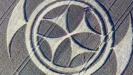 Aparece una gigantesca señal templaria sobre un campo en el norte de Francia