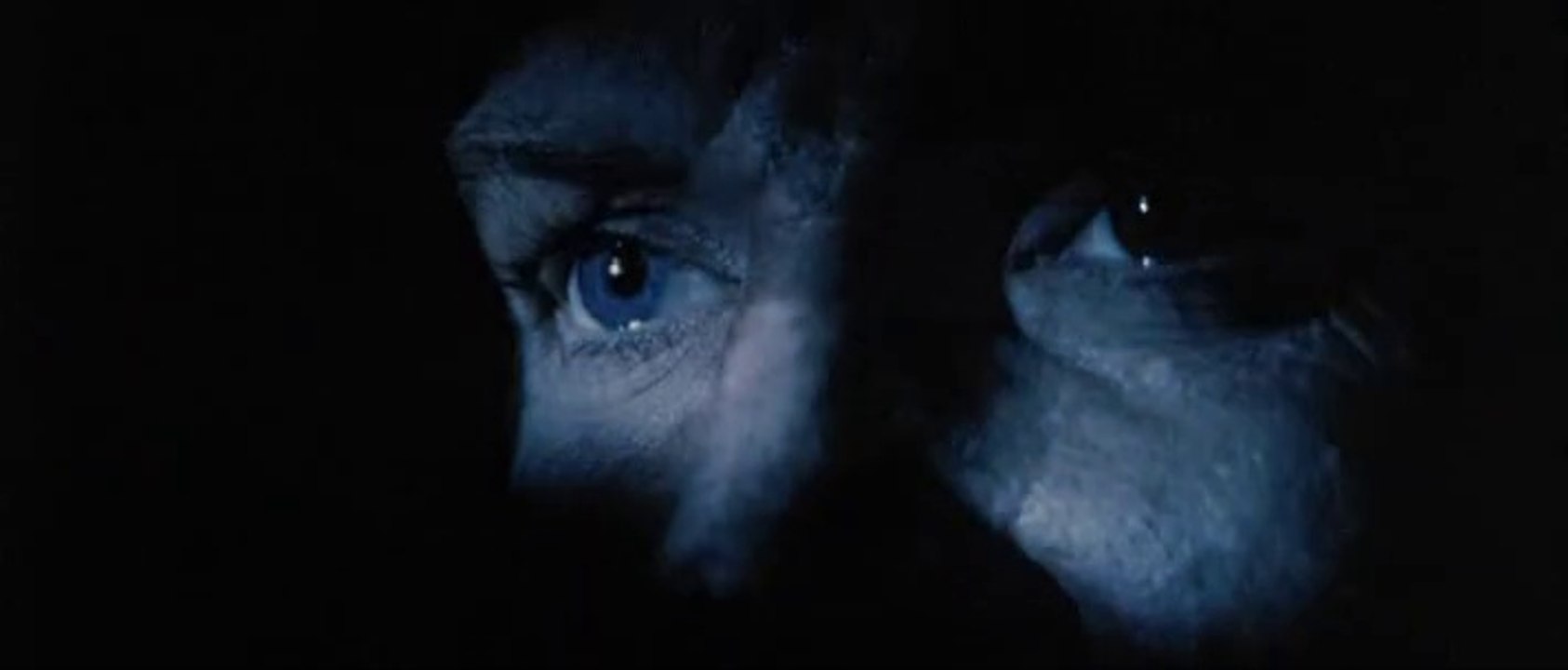 Brothers - Zwischen Brüdern - Trailer