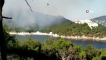 Heybeliada'da ormanlık alanda yangın