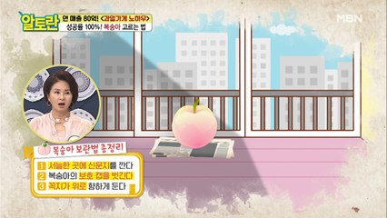 OOO을 벗겨라?! [복숭아] 제대로 보관하는 법은?!