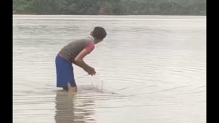amazing fish caching video in india P4. fish catching with net in ] the beel from Bangladesh.