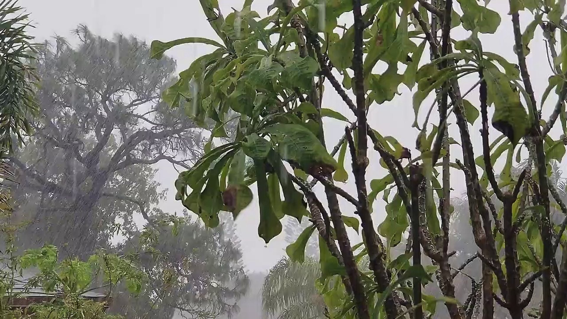Relaxing Music & Rain Sounds - Beautiful Piano Music, Background Music, Sleep Music