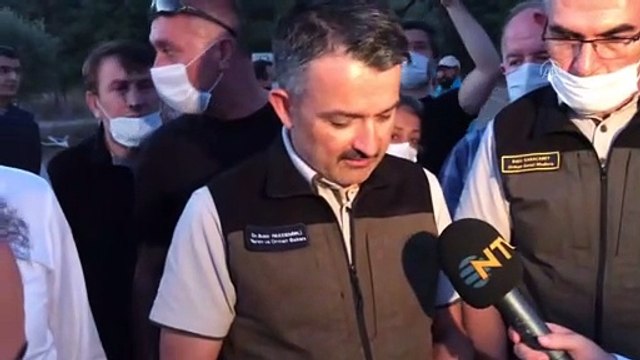 Pakdemirli: '(Heybeliada'daki yangın) Yangınla alakalı 3 gözaltı var. Çok yönlü soruşturmamız Valilik tarafından devam ediyor' - İSTANBUL