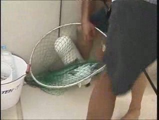 Peche Ã  la traine et au broumÃ©