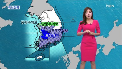 전국 장맛비…충청·남부 호우특보