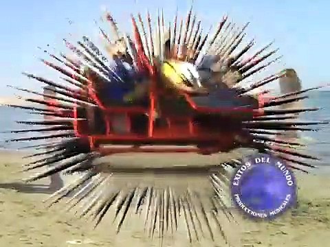 SOLO MUY SOLO Islas del Karibe EXITOS DEL MUNDO EIRL