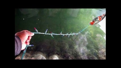 Christmas Light Fishing Challenge!!!