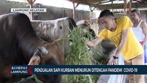 Menurunnya Penjualan Hewan Kurban di Tengah Pandemi Covid-19