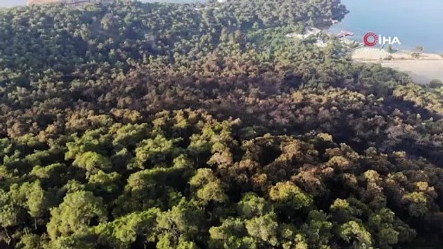 Heybeliada’da yanan ormanlık alan havadan görüntülendi