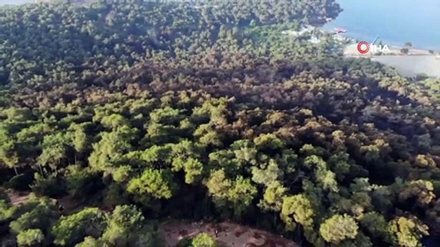 Heybeliada’da yangının neden olduğu tahribat sabahın ilk ışıklarıyla gözler önüne serildi