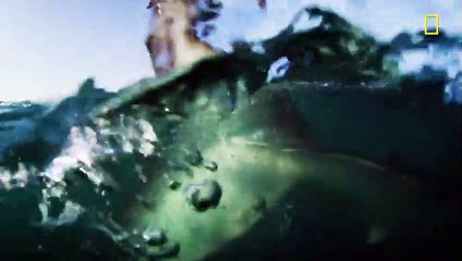 Sharks Filmed Inside Underwater Volcano Just After Eruption