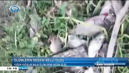 Eskişehir'i tedirgin eden ölümlerin sebebi açıklandı!