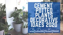 Indoor Cemented potted Plants ideas 2020 for Decoration I Interior design I Best potted plants decor