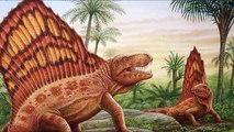 Dimetrodon May Have Used Its Sail-Fin To Regulate Temperature