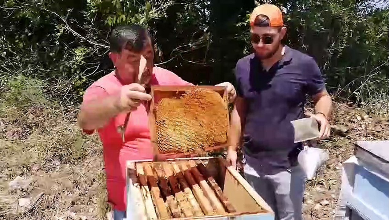 kestane balı