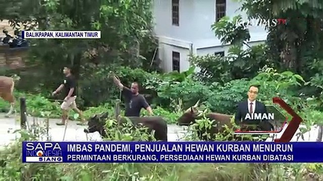 Imbas Pandemi, Penjualan Hewan Kurban Menurun