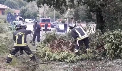 Bologna - Maltempo, crollano alberi (13.07.20)