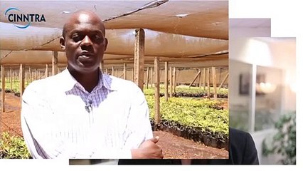 SAP Business One Cloud for Industry