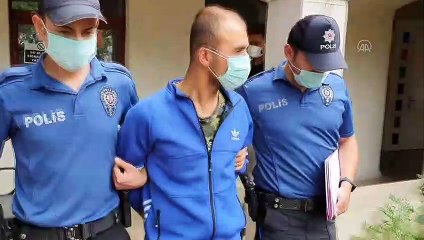 Heybeliada'daki orman yangınına ilişkin soruşturma - İSTANBUL