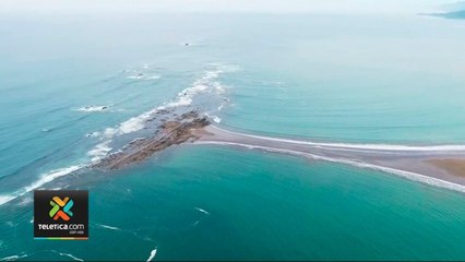 tn7-visitas-al-parque-marino-bahia-ballena-130720