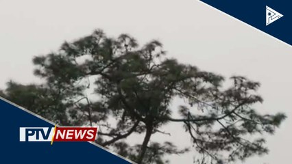 Red alert status, itinaas na sa CAR dahil sa bagyong #CarinaPH