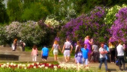 Sembrando Esperanza - ¿Es el hombre dueño de su destino? - Jaime Fernandez Garrido, Juan Luis Guerra - 11.07.2020