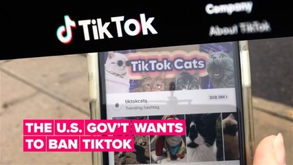 Here's why the US government wants to ban TikTok