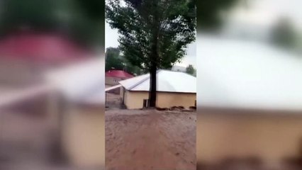 Erciş’te aşırı yağış sele neden oldu - VAN